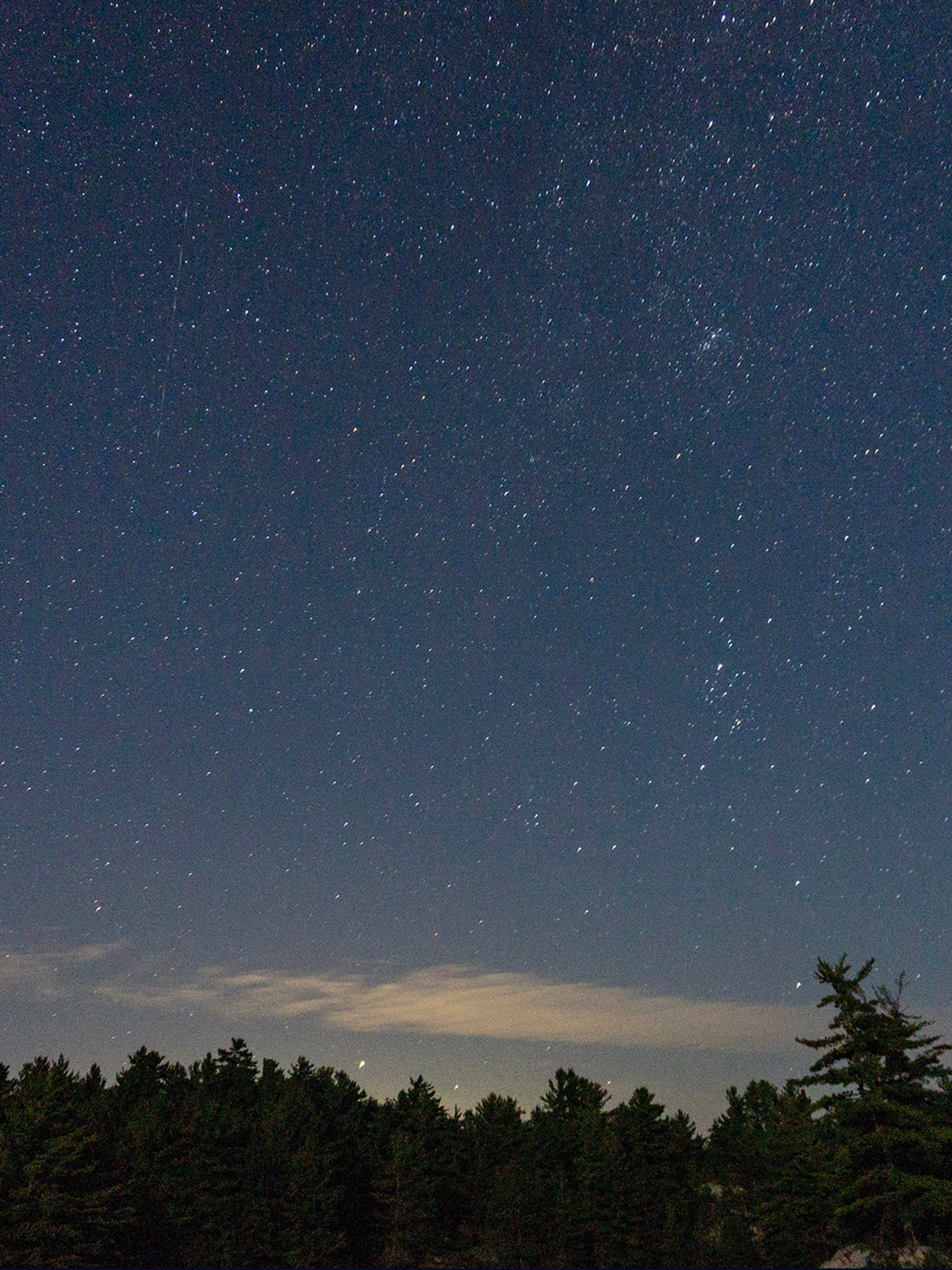 The night sky with a thousand stars